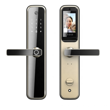 Preço competitivo Senha elétrica sem chave Wi -Fi Smart Fingerprint Door Lock